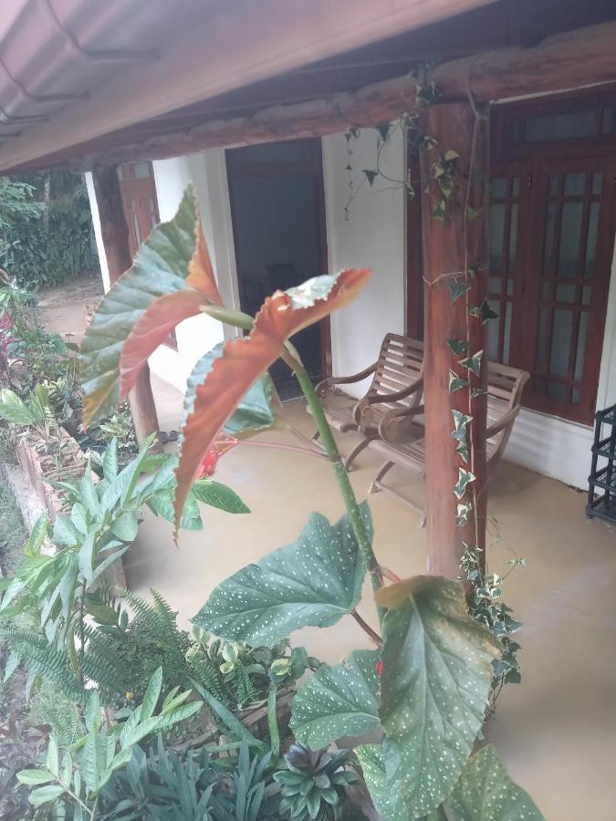 Supipi Homestay Ella Exterior photo